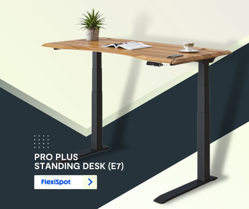 FlexiSpot and IKEA: Which Brand Offers the Best Set of